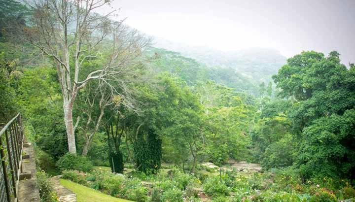 The Legend Of Selagama Hotel Matale Exterior photo